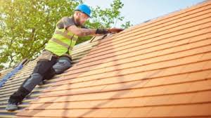 Best Roof Moss and Algae Removal  in Dresden, TN