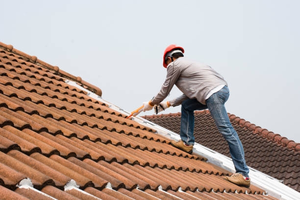 Best Steel Roofing  in Dresden, TN